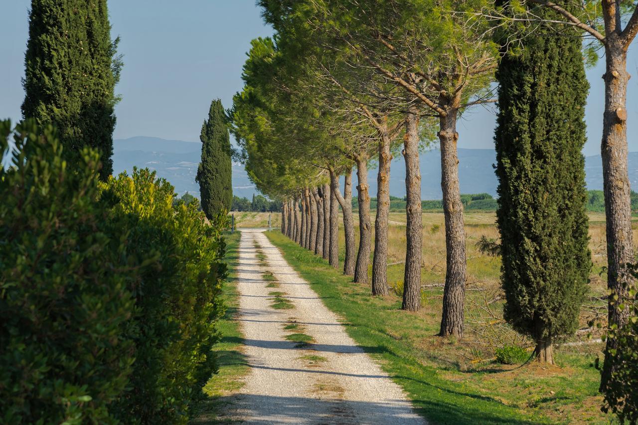 Agriturismo Bandinelli Braccagni ภายนอก รูปภาพ