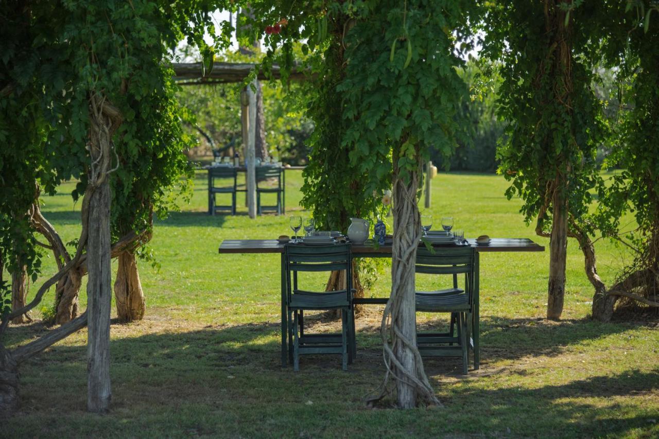 Agriturismo Bandinelli Braccagni ภายนอก รูปภาพ