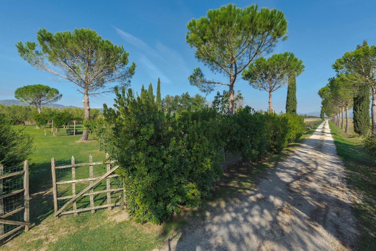 Agriturismo Bandinelli Braccagni ภายนอก รูปภาพ